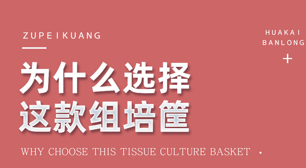 组培筐04.jpg