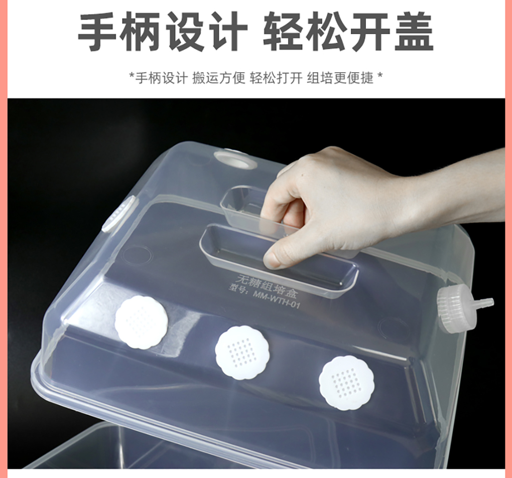 无糖培养盒_08.jpg
