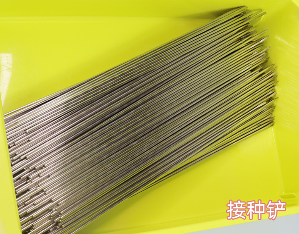 接种工具实拍_04.jpg