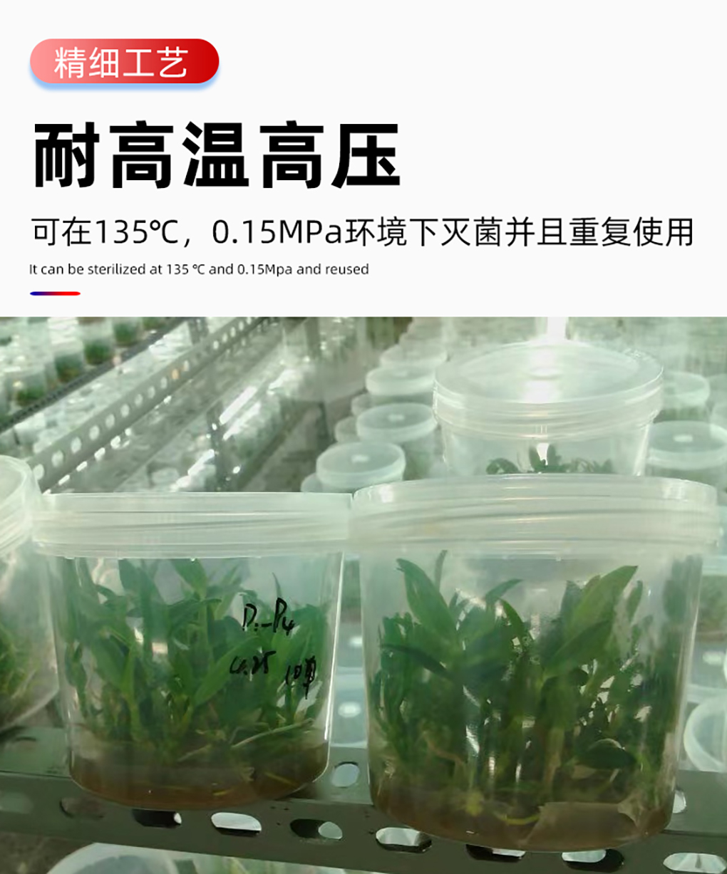 PP组培瓶_07.jpg