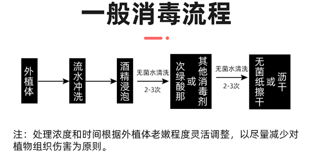 酒精_05.jpg