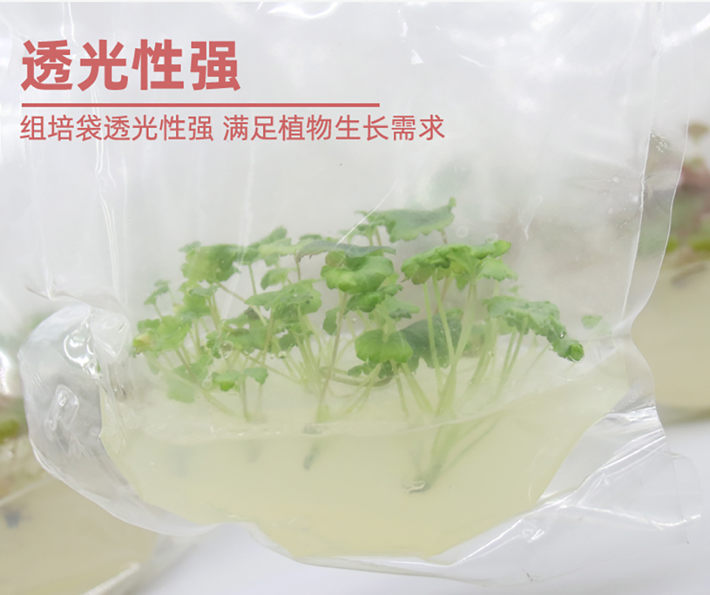 组培袋_08.jpg