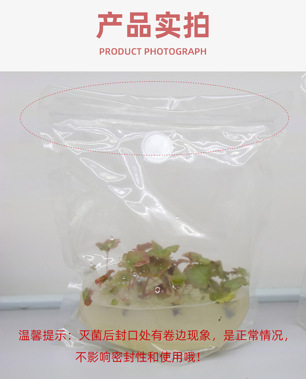 组培袋_10.jpg